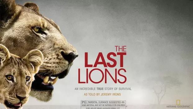 Watch The Last Lions Trailer
