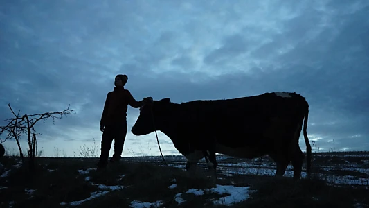 Watch Animals in War Trailer