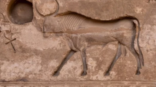 Les animaux sacrés de l'Egypte ancienne