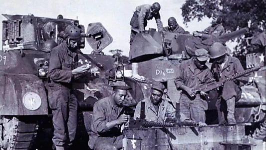 761st Tank Battalion: The Original Black Panthers