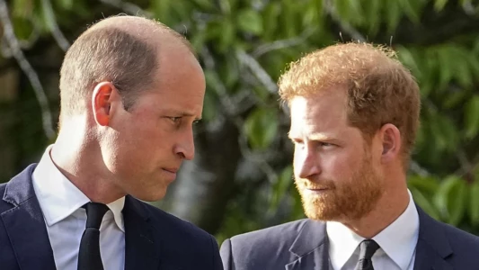 Harry vs. William: Der royale Bruderzwist