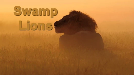 Swamp Lions
