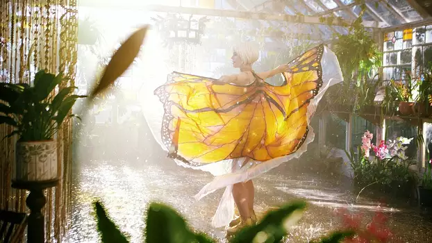 Watch The Butterfly Tree Trailer