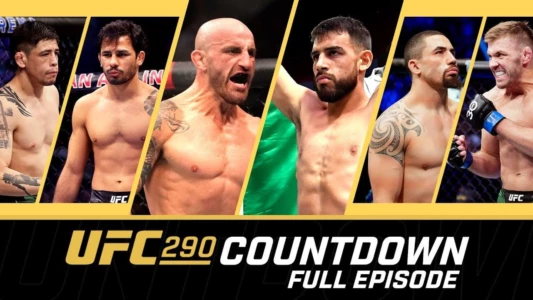 UFC 290 Countdown