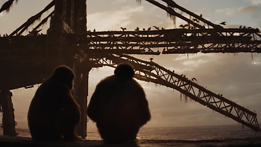 Kingdom of the Planet of the Apes