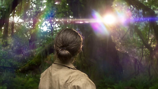 Annihilation