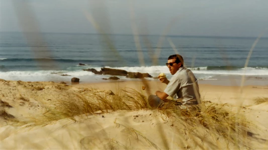 Watch Birth of The Endless Summer: Discovery of St.Francis Trailer
