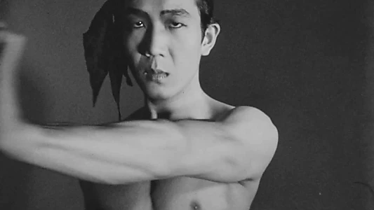 Watch Meditation on Violence Trailer