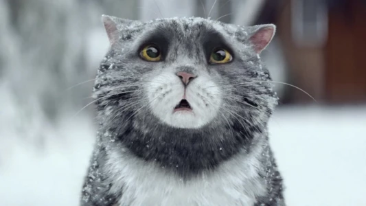 Watch Sainsbury's: Mog's Christmas Calamity Trailer