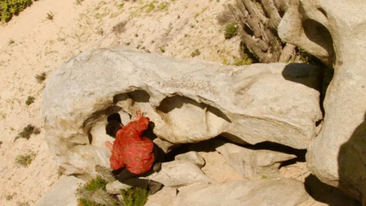 Todos tienen algo Desierto