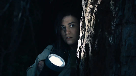 Watch Stranger in the Woods Trailer