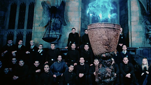 Harry Potter and the Goblet of Fire
