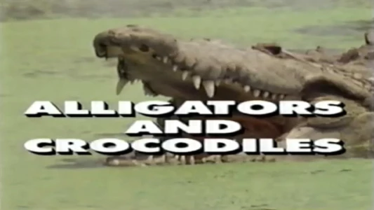Predators of the Wild: Crocodiles and Alligators