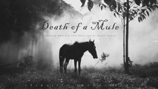 Watch Death of a Mule Trailer