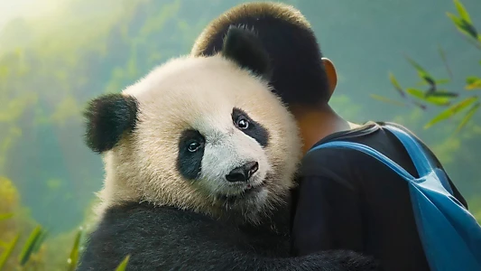 Watch Moon The Panda Trailer