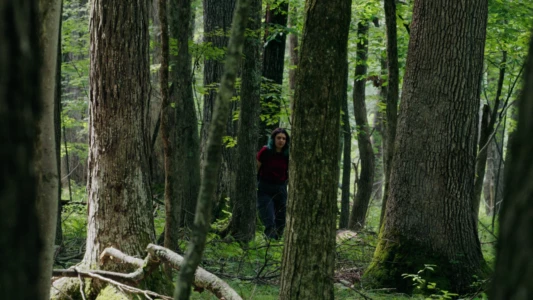 Watch Through The Trees Trailer