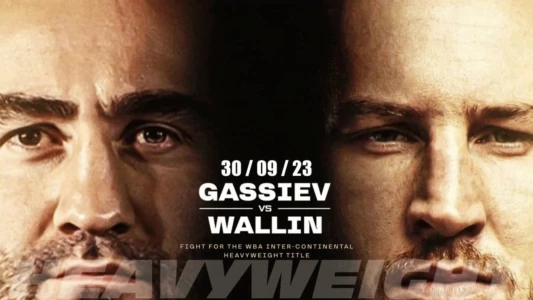 Murat Gassiev vs. Otto Wallin