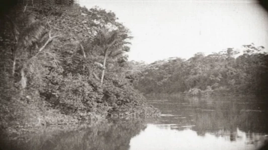 Amazon: Longest River in the World
