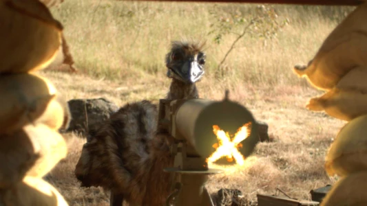 Watch The Emu War Trailer