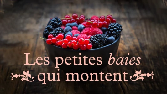 Les petites baies qui montent