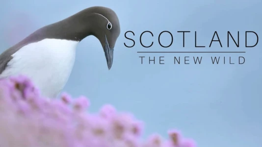 Scotland: The New Wild