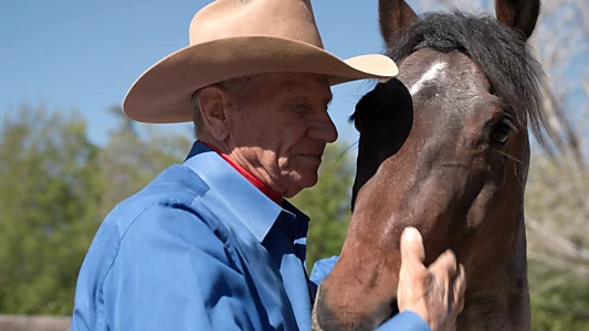 Watch The Cowboy and the Queen Trailer