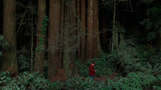 Watch Behind the Redwood Curtain Trailer
