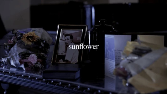 Watch sunflower Trailer