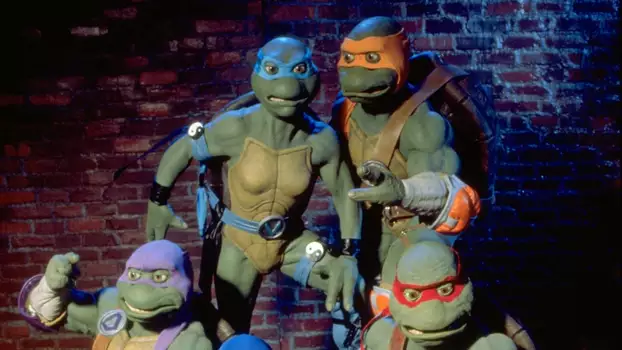 Watch Ninja Turtles: The Next Mutation Trailer