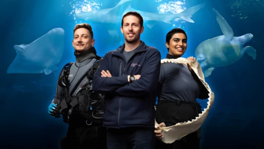 Watch Secrets of the Aquarium Trailer