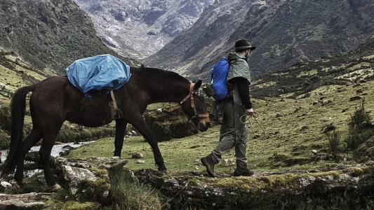 En busca de la ciudad perdida