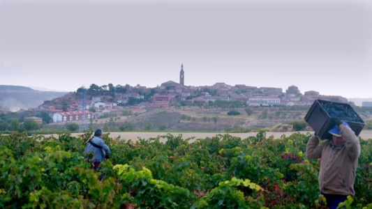 Watch Rioja, Land of the Thousand Wines Trailer