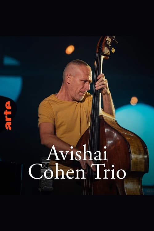 Avishai Cohen Trio – Shifting sands