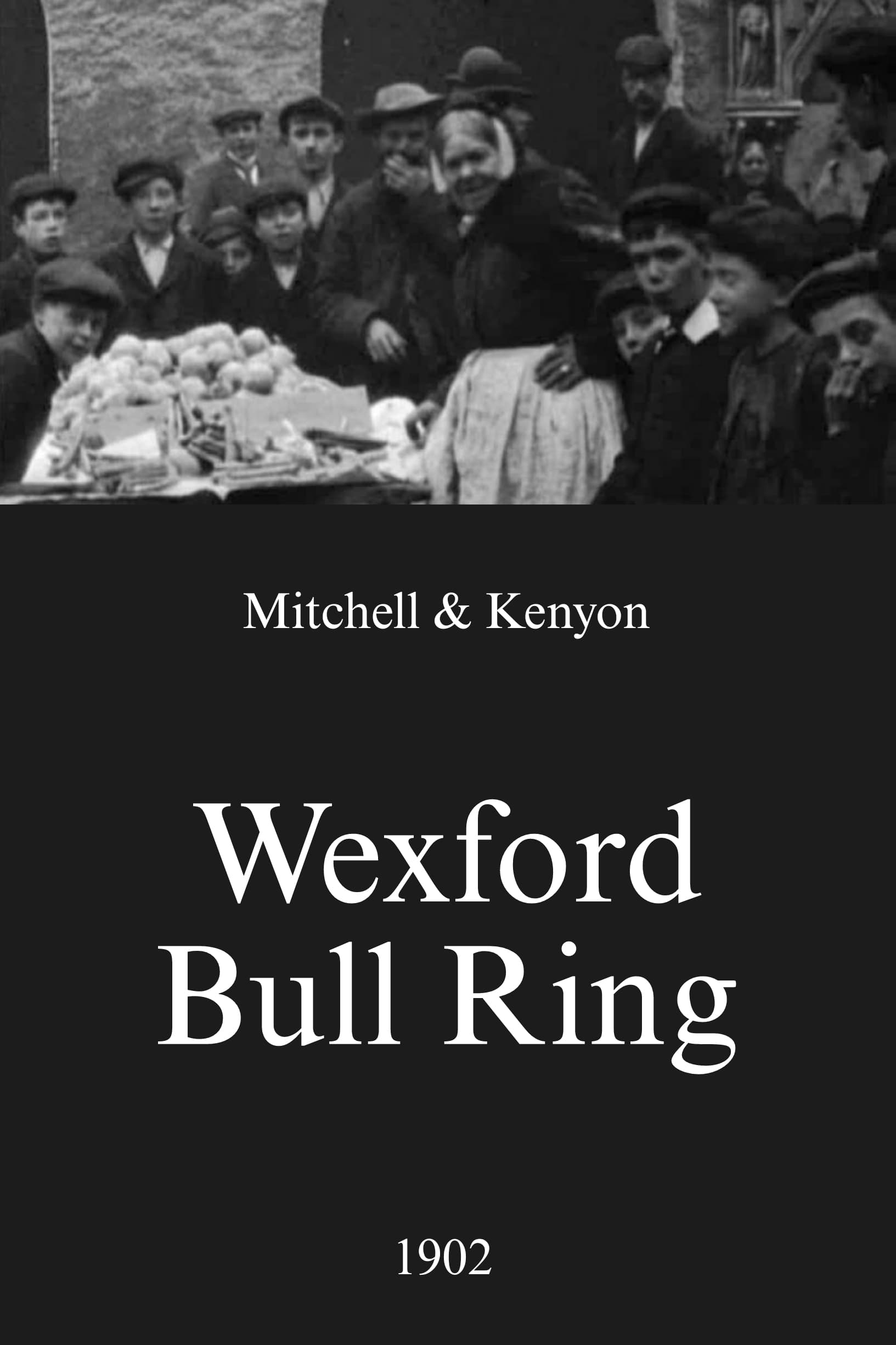 Wexford Bull Ring