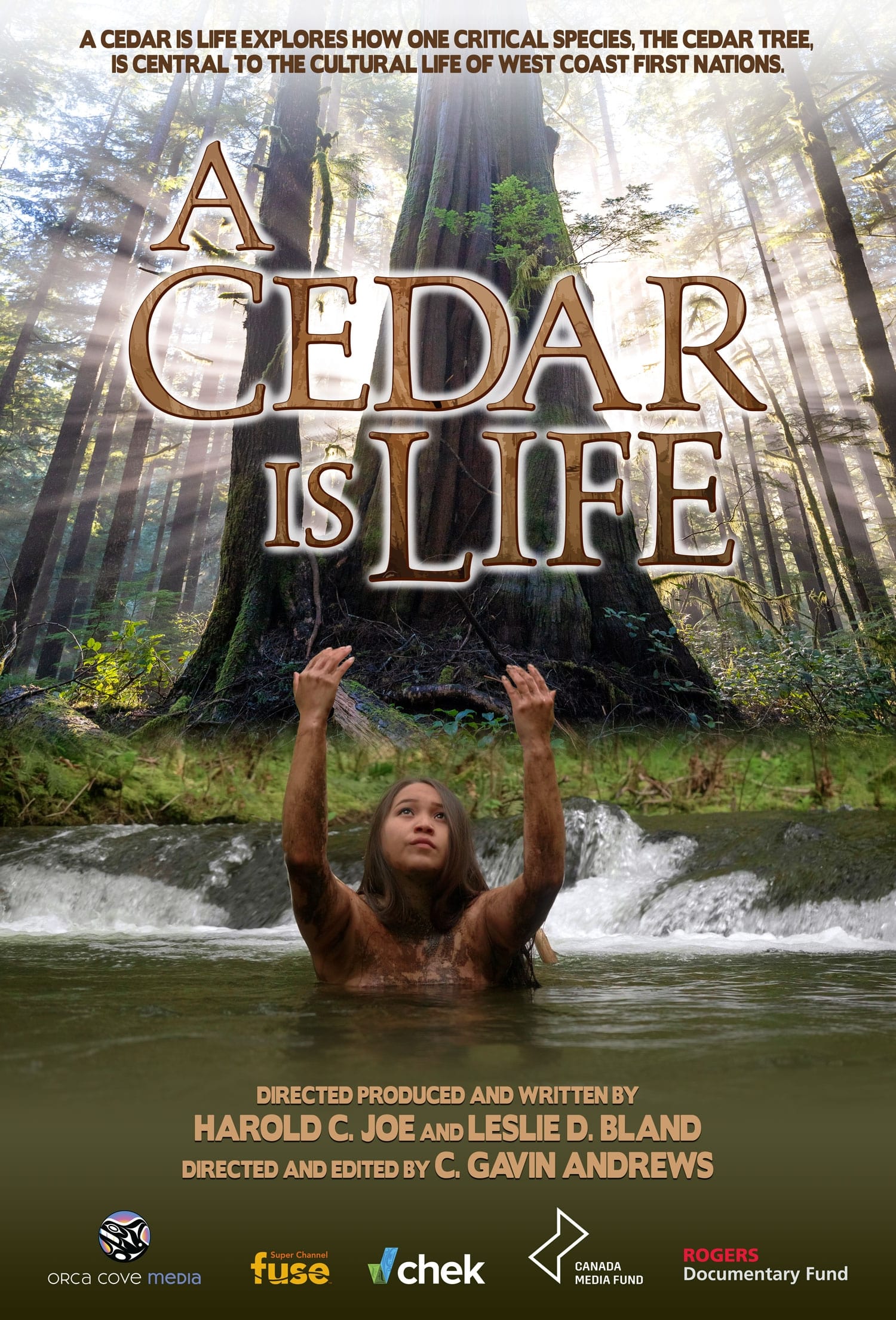 A Cedar Is Life