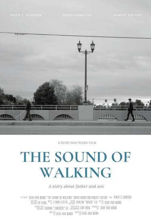 The Sound of Walking