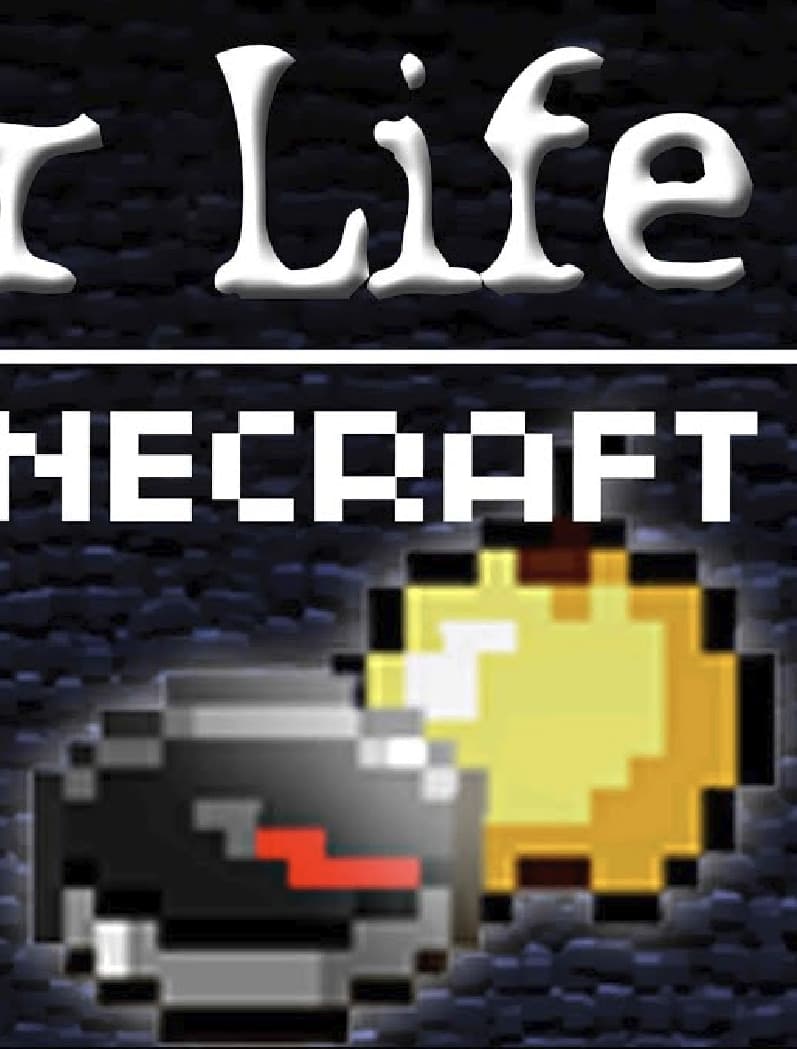 Craft For Life