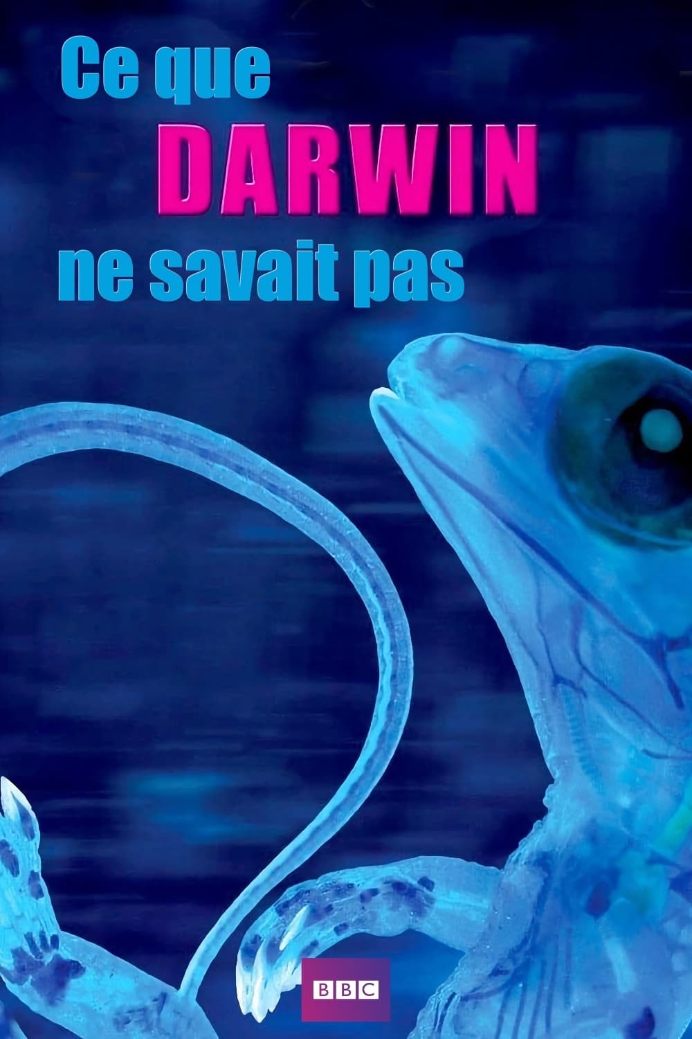 Ce que Darwin ne savait pas encore
