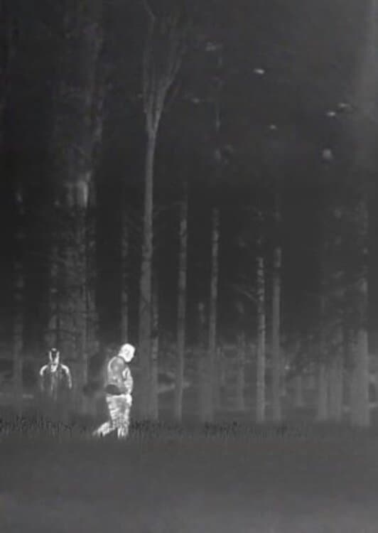 Untitled Trailcam Footage