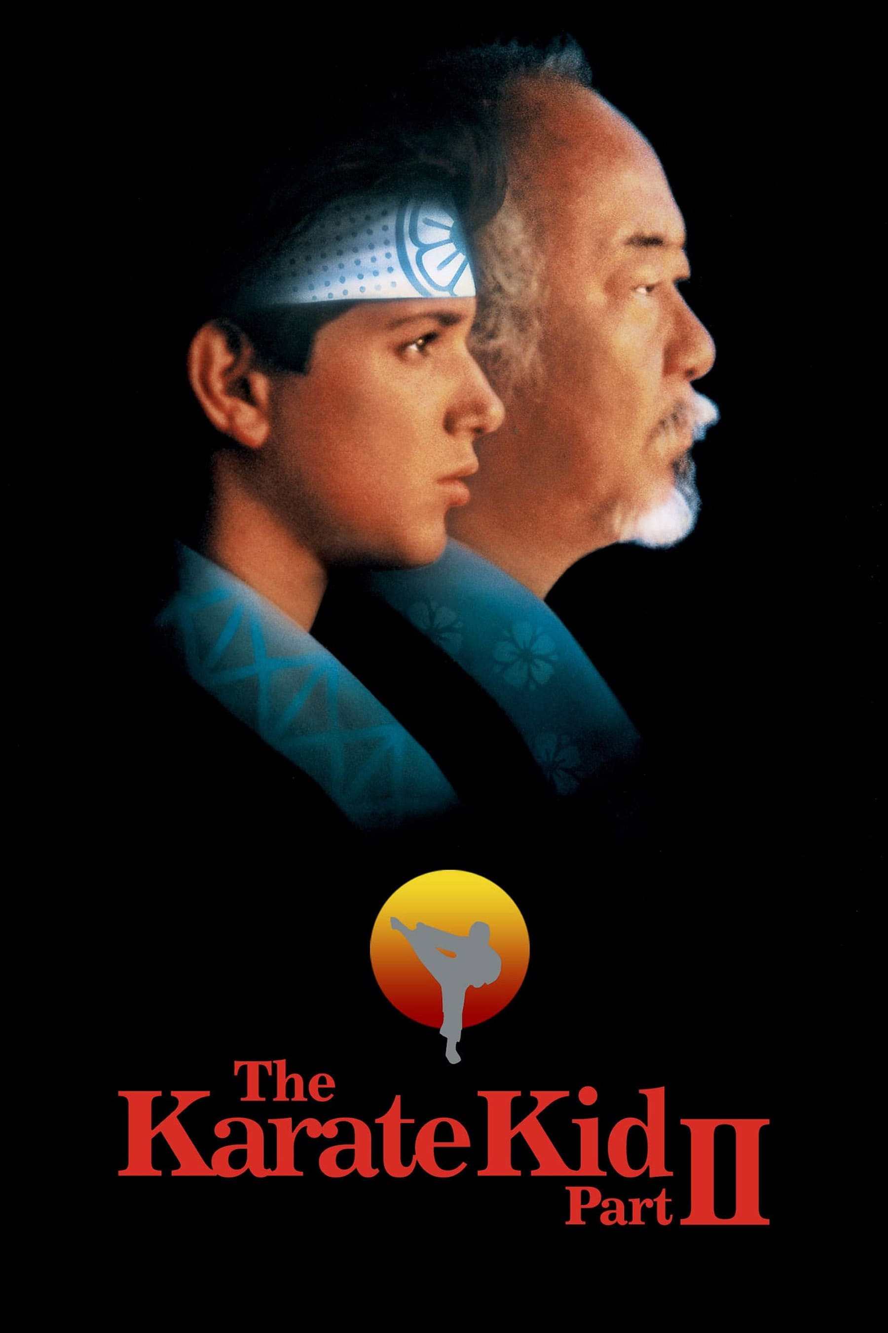Karate Kid II: La Historia Continúa