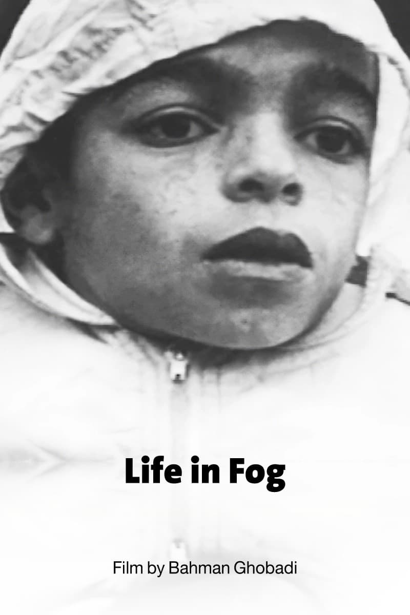 Life in Fog