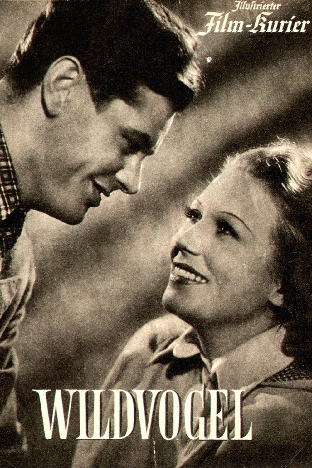 Wildvogel (1943)