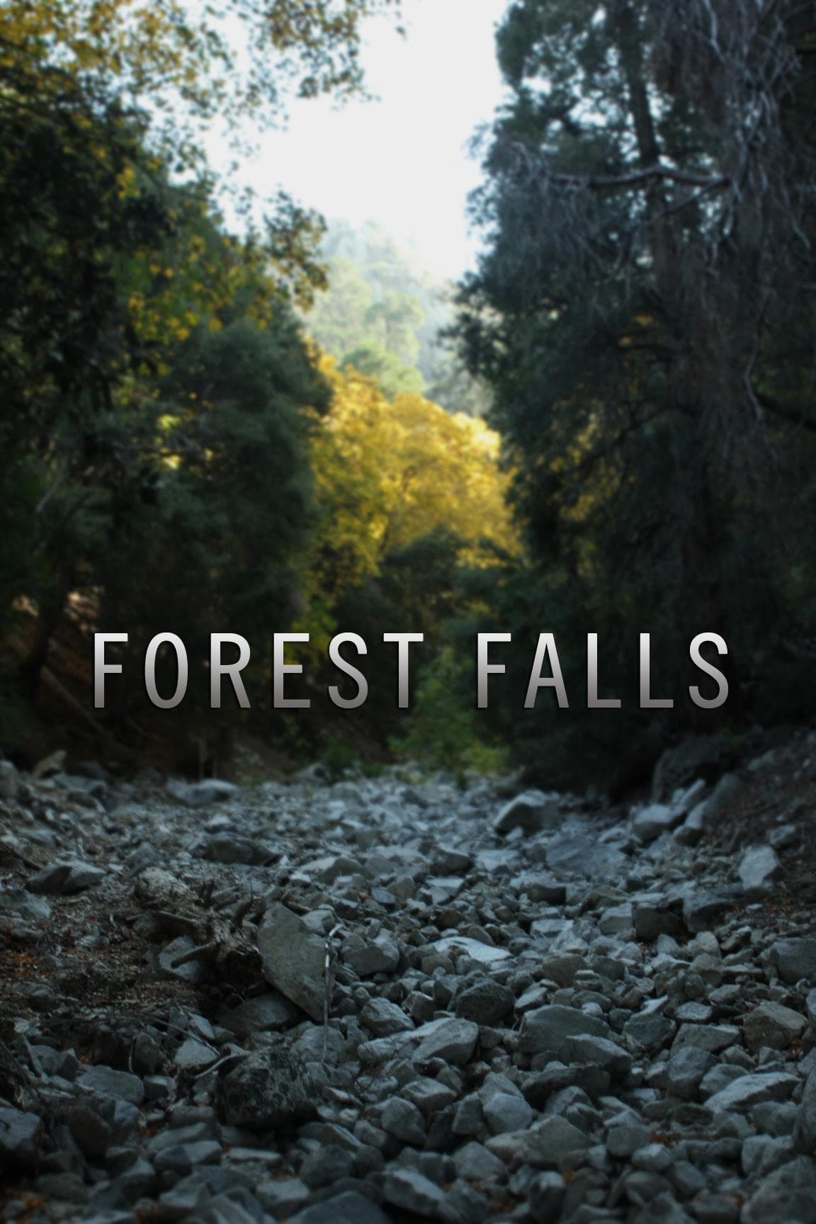 Forest Falls