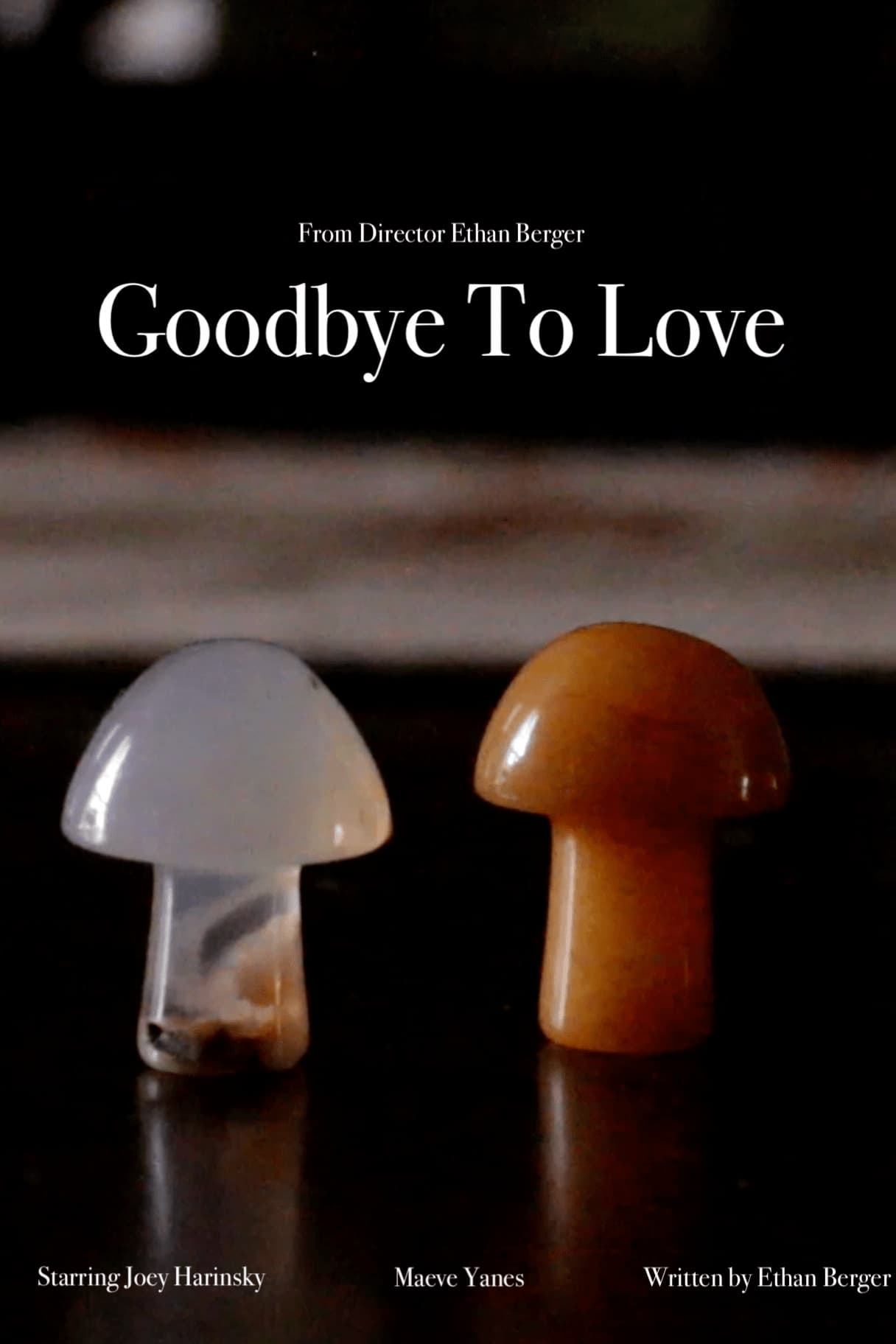 Goodbye To Love