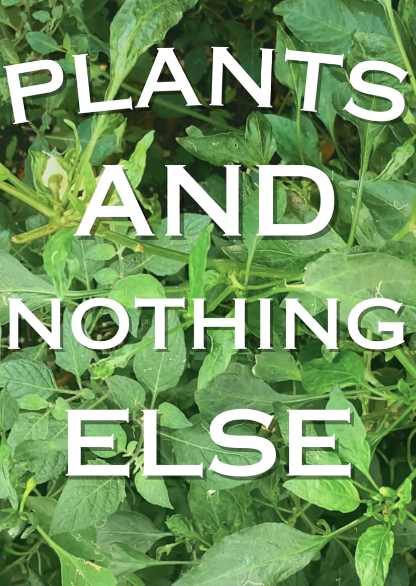 Plants And Nothing Else