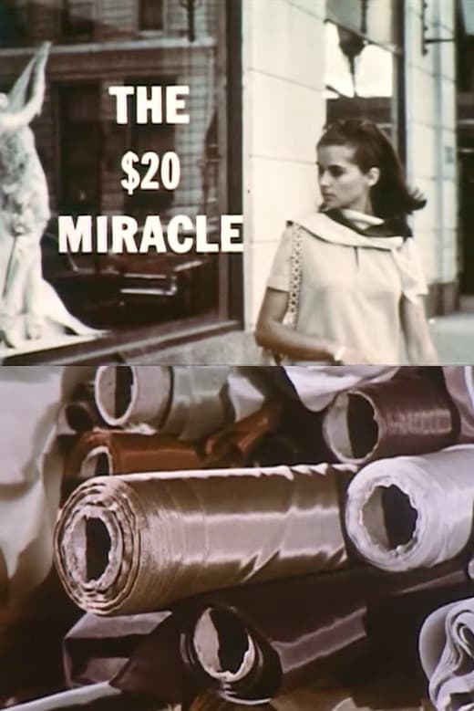 The Twenty Dollar Miracle