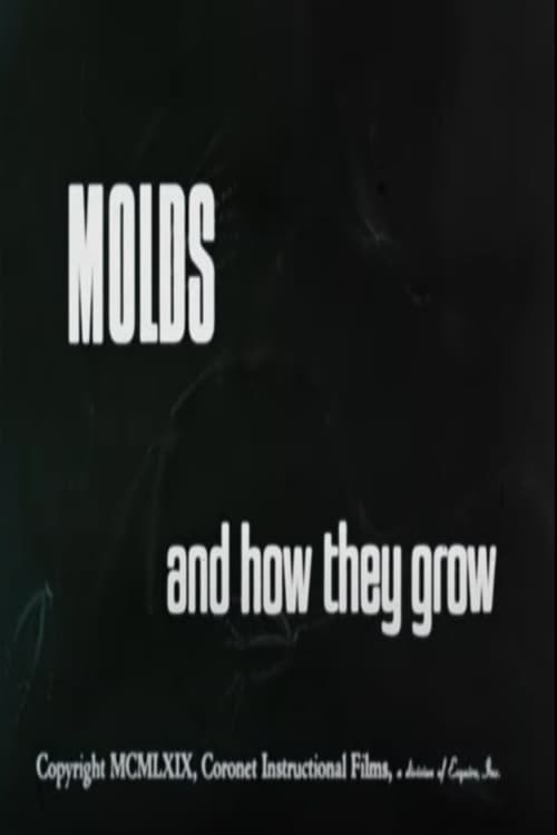 Molds and How They Grow