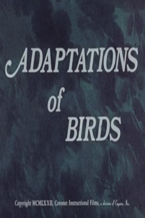 Adaptations of Birds