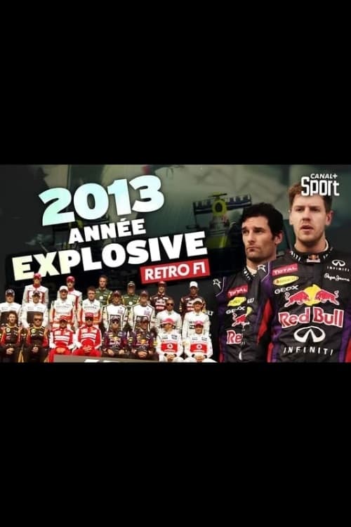 Rétro F1 2013 : Année explosive