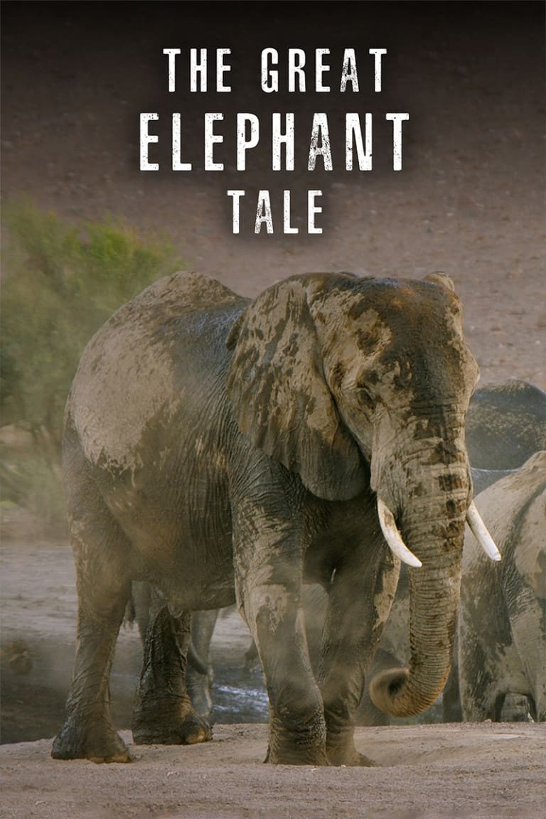 The Great Elephant Tale